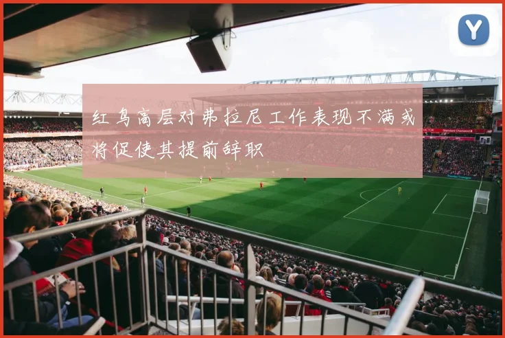 红鸟高层对弗拉尼工作表现不满或将促使其提前辞职