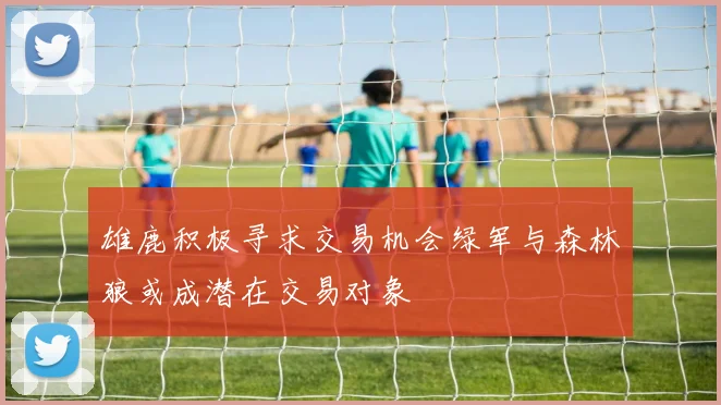 雄鹿积极寻求交易机会绿军与森林狼或成潜在交易对象